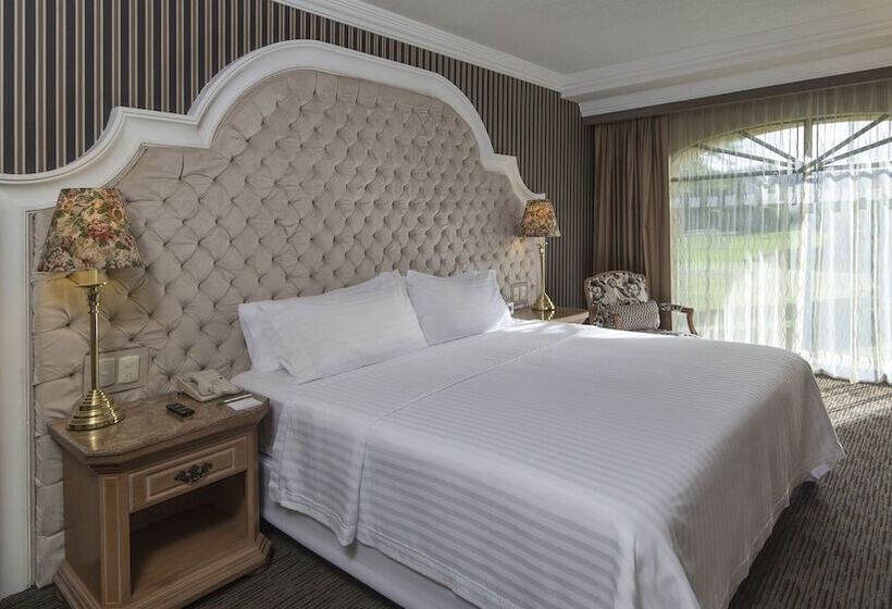 Люкс, Holiday Inn Queretaro Centro Historico, An Ihg