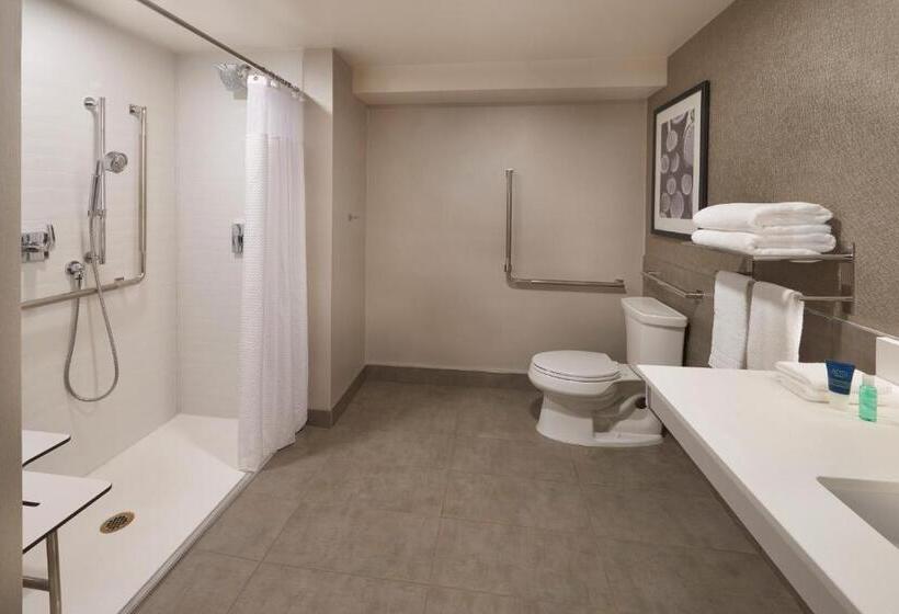 キングサイドベッドのスタンダードワンルーム, Four Points By Sheraton Vaughan