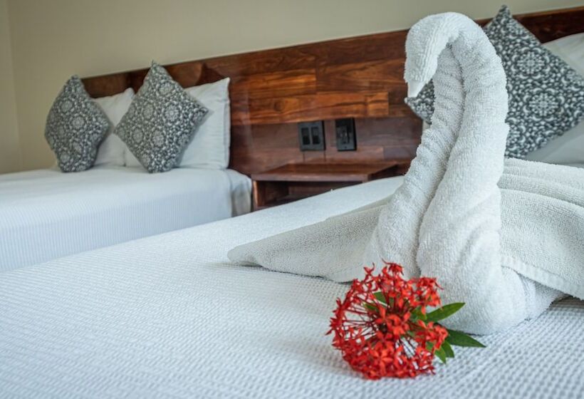 デラックスの４人部屋, Moonshine Tulum Hotel & Hostel