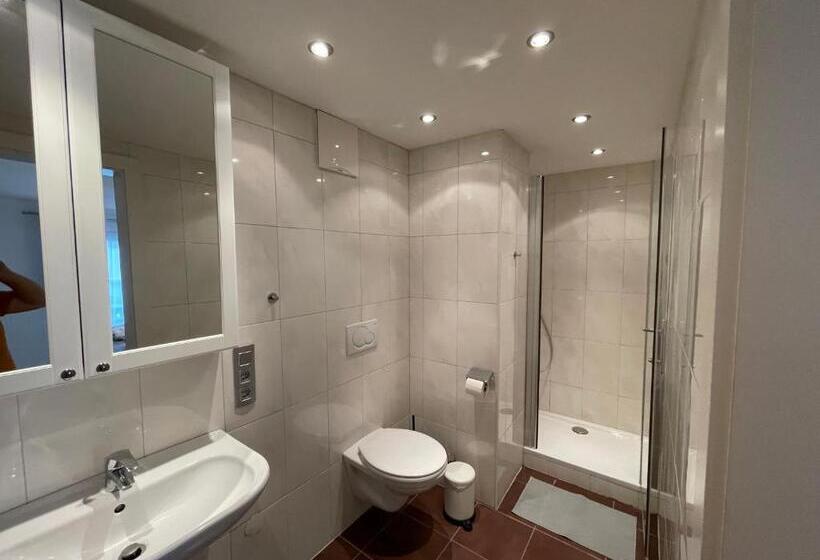 Апартаменты Superior 1 Спальня, Gulewicz Apartments