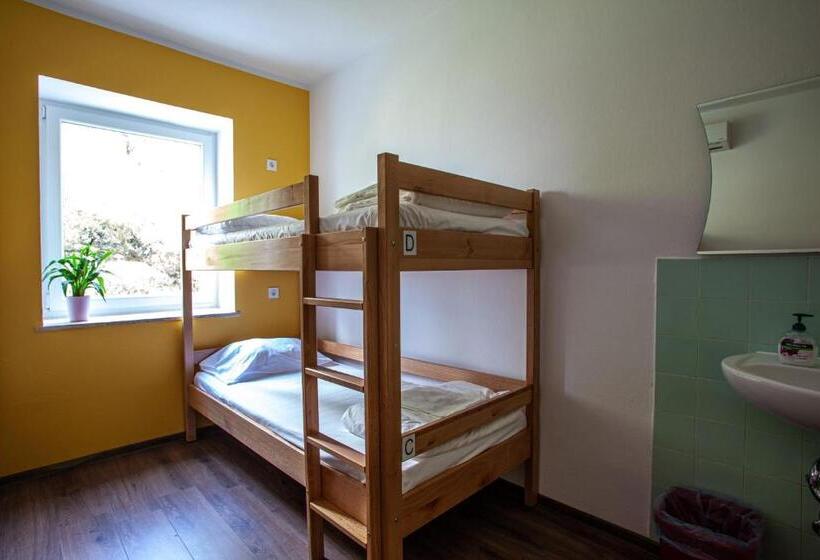 اتاق استاندارد با سرویس بهداشتی مشترک, Hostel Trobenta In Oblak