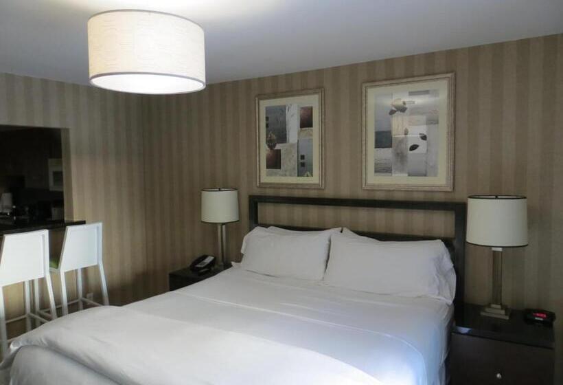 استودیو استاندارد با تخت کینگ, 7 Springs Inn & Suites
