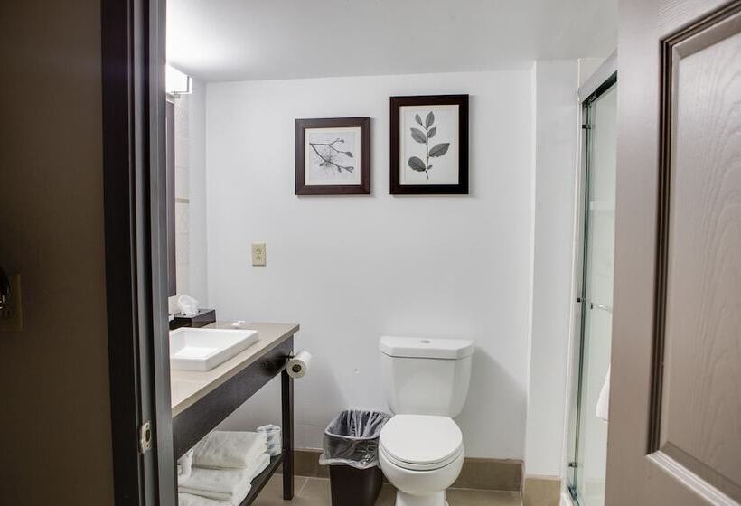 Люкс, Country Inn & Suites By Radisson, Harlingen, Tx