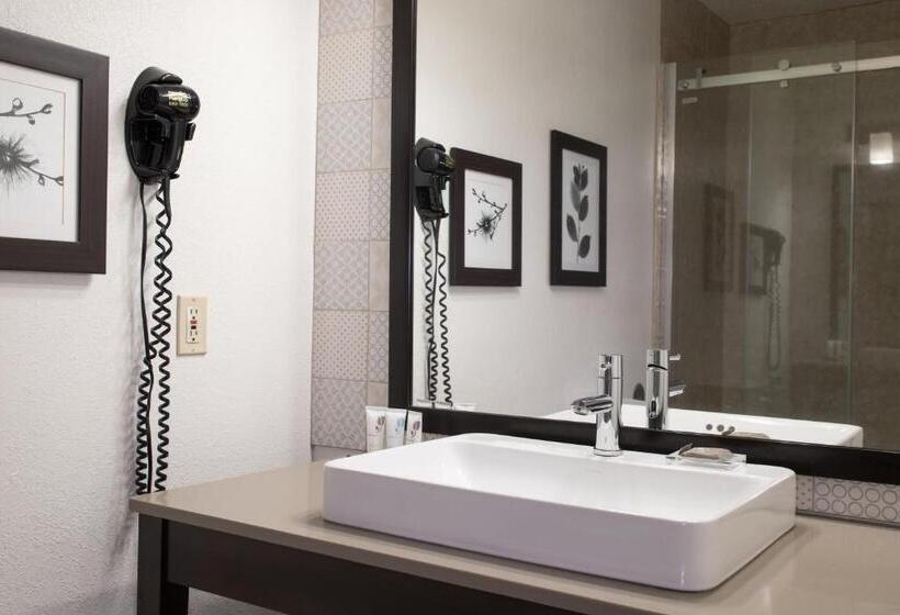 Люкс Кровать Кинг, Country Inn & Suites By Radisson, Platteville, Wi