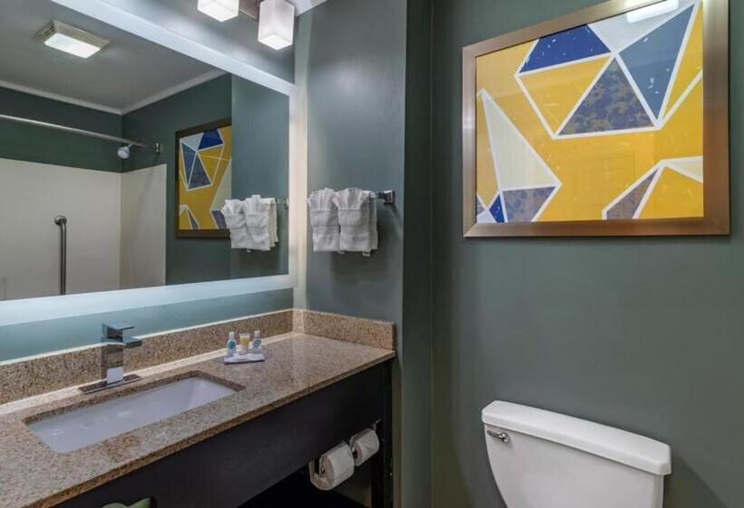 Номер Стандарт Кровать Кинг Адаптированный для Инвалидов, Comfort Inn & Suites At Stone Mountain