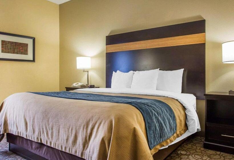 Номер Стандарт Кровать Кинг Адаптированный для Инвалидов, Comfort Inn & Suites At Stone Mountain