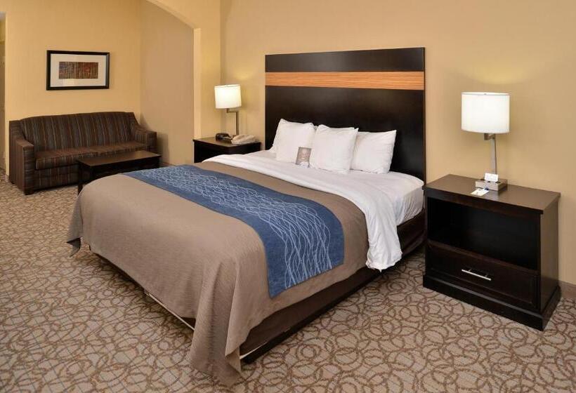 Стандартный Номер Кровать Кинг, Comfort Inn & Suites At Stone Mountain