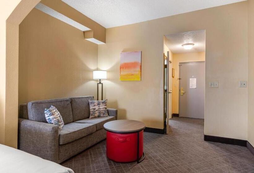 Номер Стандарт, Comfort Inn & Suites At Stone Mountain