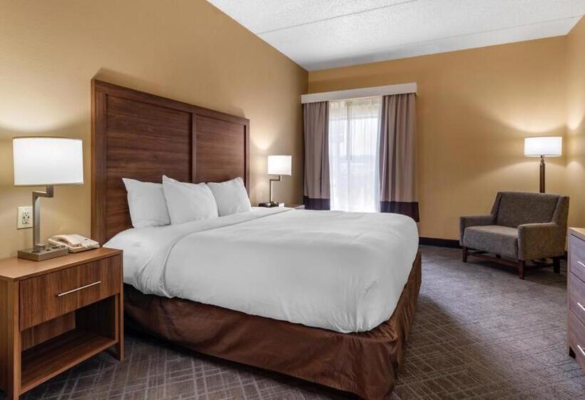 Люкс Кровать Кинг, Comfort Inn & Suites At Stone Mountain