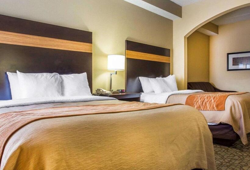Люкс, Comfort Inn & Suites At Stone Mountain