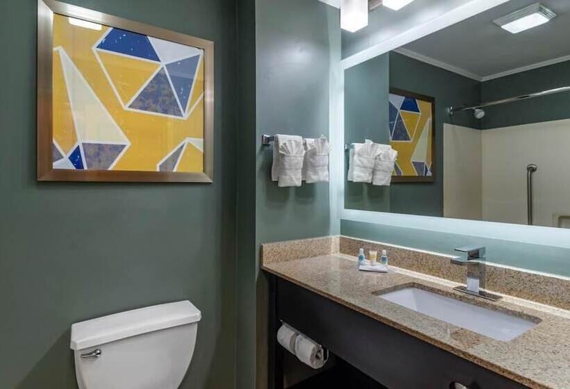 Люкс, Comfort Inn & Suites At Stone Mountain