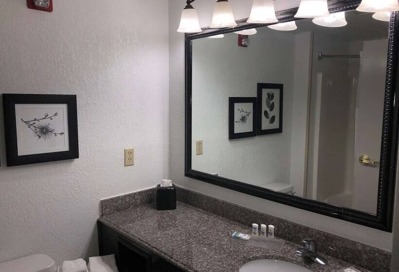 스위트, Country Inn & Suites By Radisson, Biloxi Ocean Springs, Ms