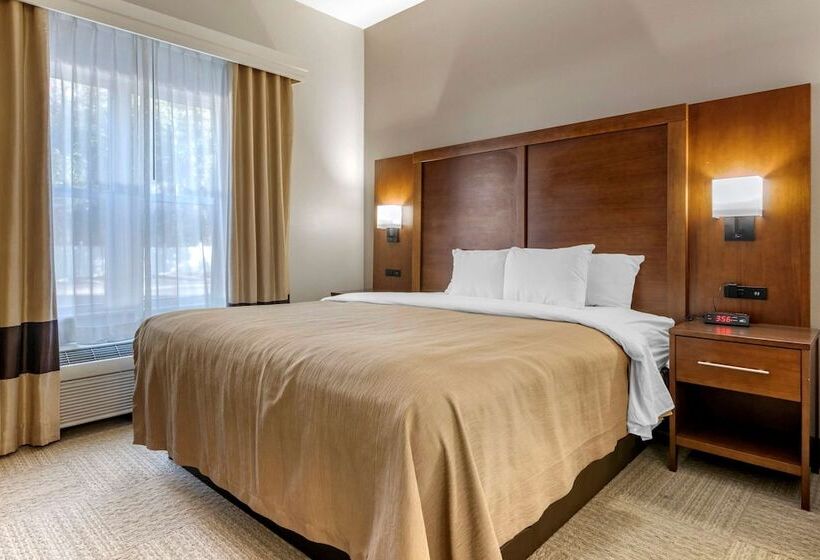 Люкс, Spark By Hilton St. Augustine I 95