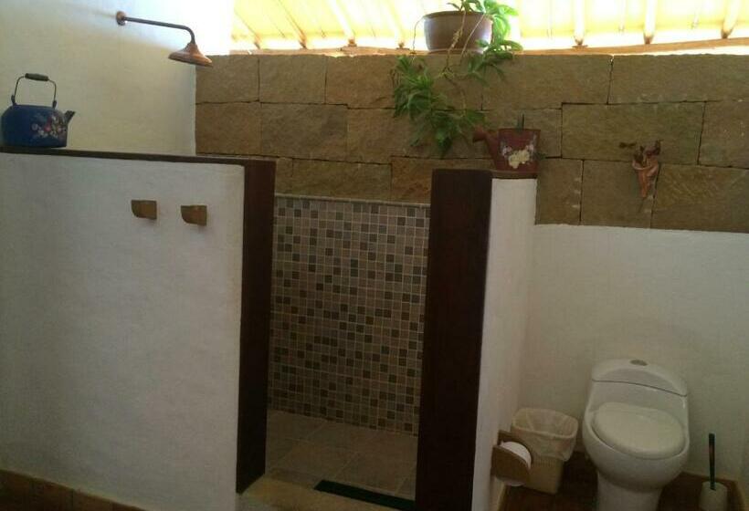 Студия Стандарт, Arapaima B&b