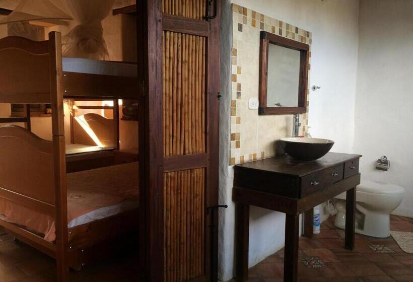 Студия Deluxe, Arapaima B&b