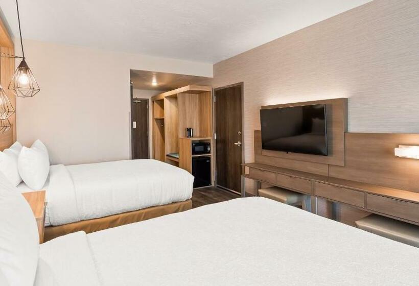 스탠다드 룸, Best Western Plus Settlers Point