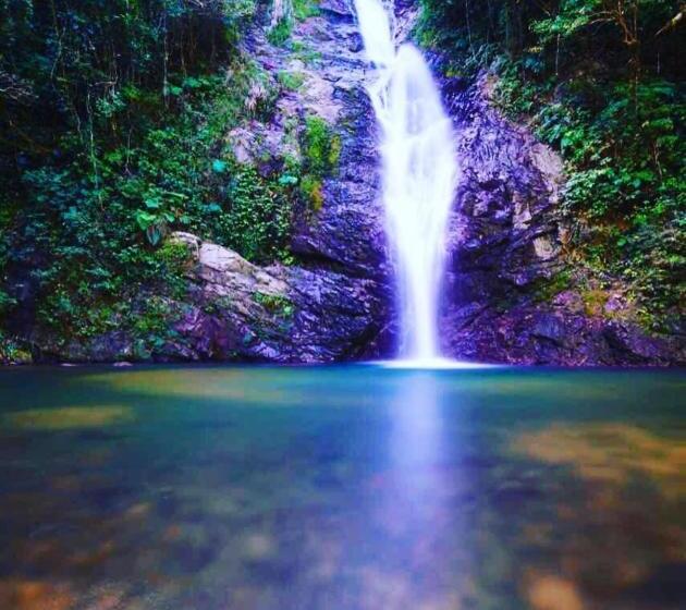 스탠다드 스튜디오 바다 전망, Maui Palms