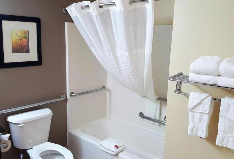 Номер Стандарт Адаптированный для Инвалидов, Baymont By Wyndham Belleville Airport Area Free Airport Shuttle