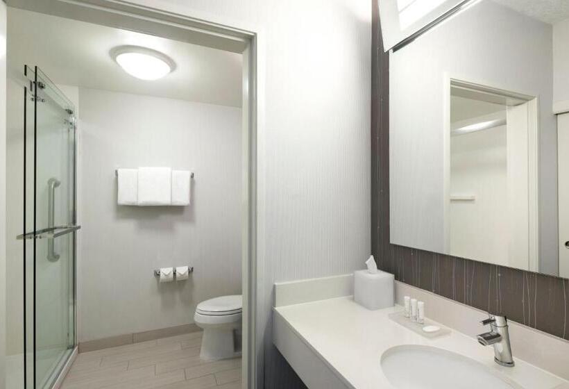 Номер Стандарт Кровать Кинг Адаптированный для Инвалидов, Courtyard By Marriott Austin Round Rock