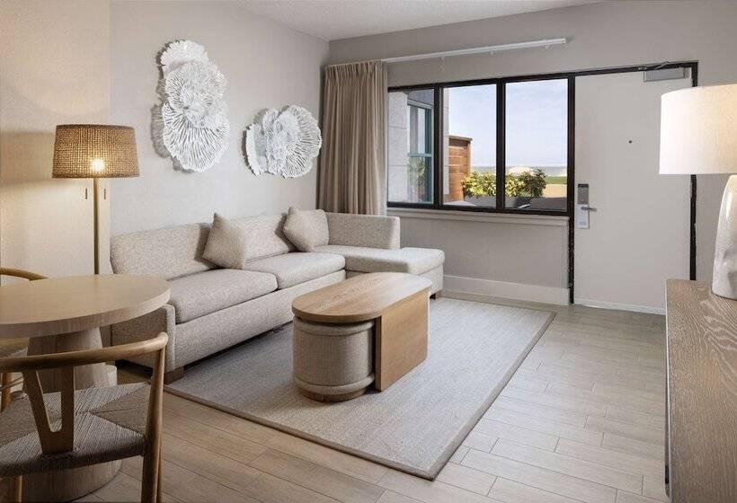 סוויטה, Hilton Daytona Beach Oceanfront Resort