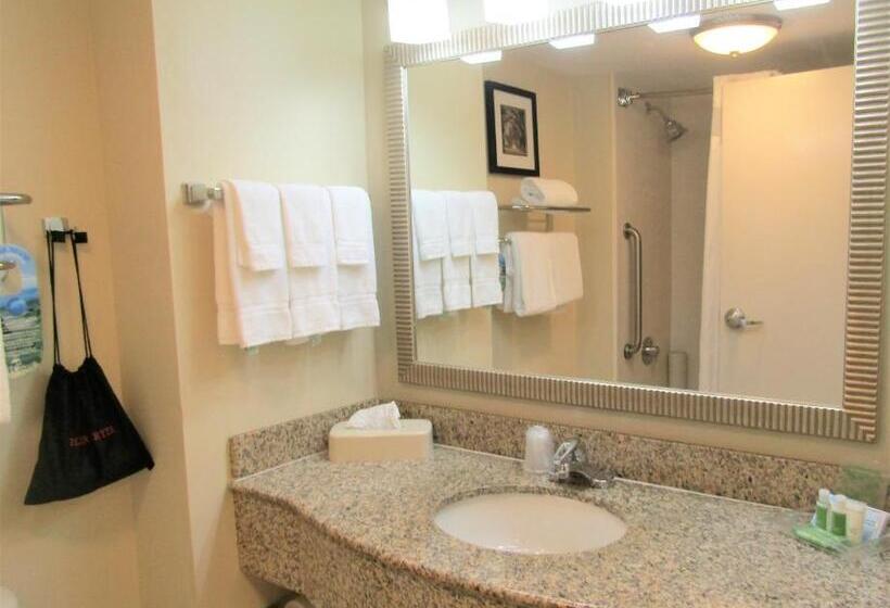 اتاق استاندارد با تخت بزرگ, Hampton Inn St. Augustine Downtown Historic District