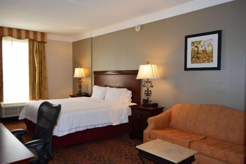 스탠다드 룸 킹사이즈 침대, Hampton Inn & Suites Houston Katy