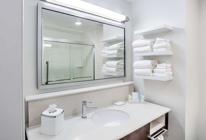 סטודיו סטנדרט מיטה זוגית, Hampton Inn & Suites Macon I 475