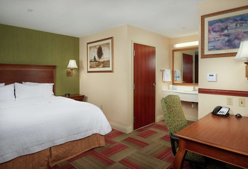 Студия Стандарт, Hampton Inn & Suites Roswell