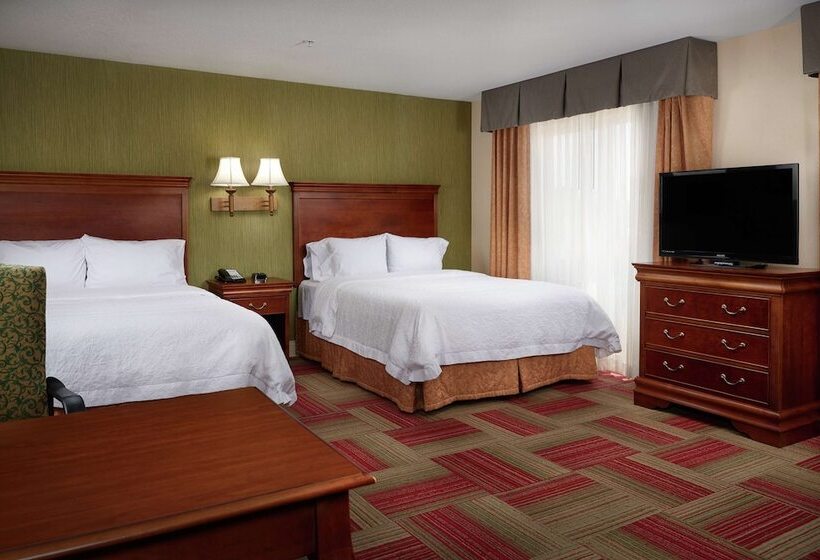 Студия Стандарт, Hampton Inn & Suites Roswell