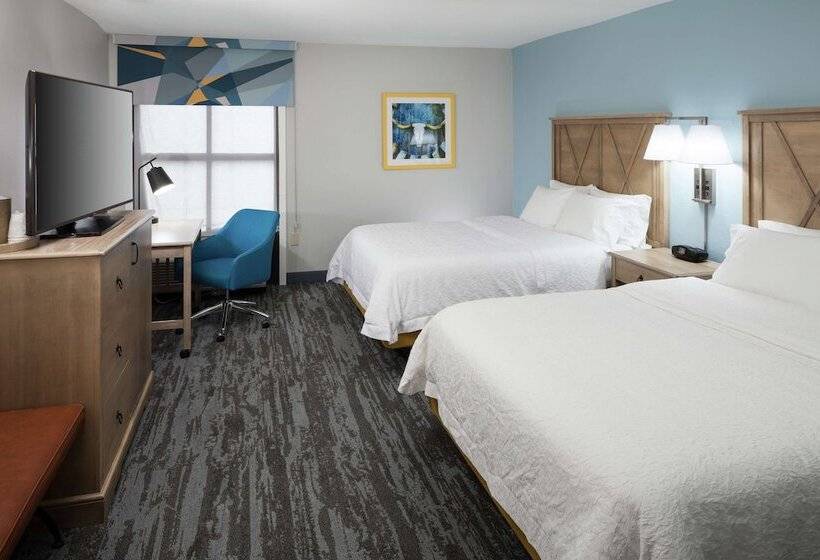Номер Стандарт, Hampton Inn Austinround Rock