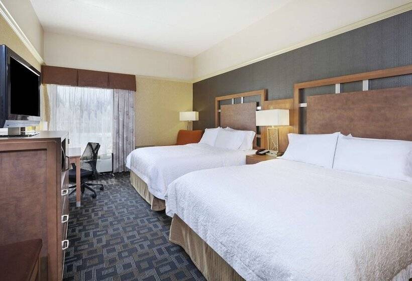 스탠다드 룸 더블 침대 2개, Hampton Inn Clinton