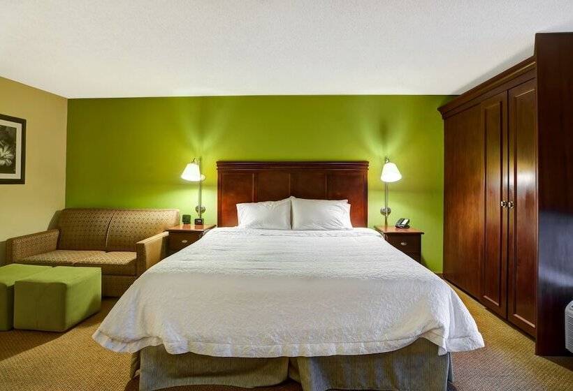 장애인을 위한 스탠다드 룸, Hampton Inn Morgantown