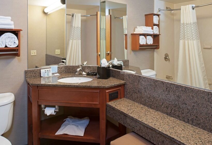 Номер Стандарт Адаптированный для Инвалидов, Hampton Inn Muskegon