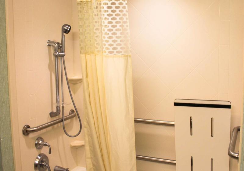 Camera Standard Letto King Accessibile ai persone con mobilità ridotta, Hampton Inn & Suites Destin