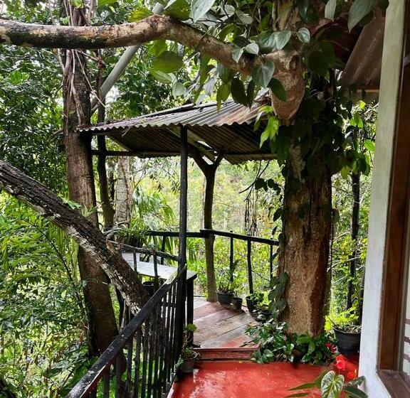 اتاق لوکس خانوادگی, Pepper Garden Resort