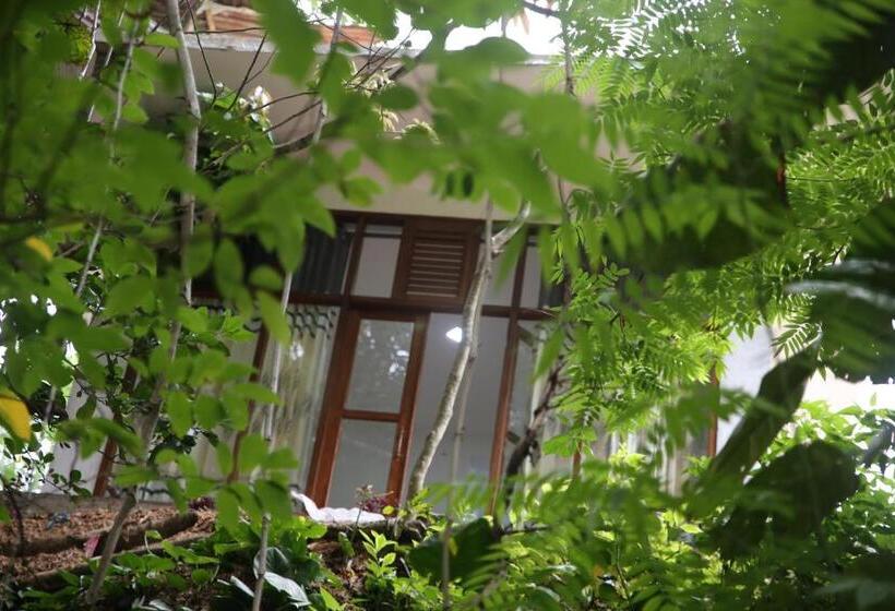 اتاق لوکس خانوادگی, Pepper Garden Resort