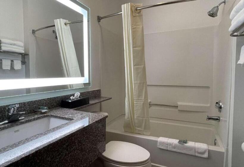 Стандартный Номер Кровать Кинг, Best Western Roanoke Inn & Suites