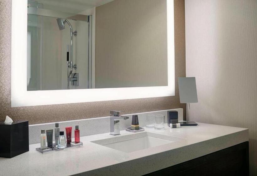 Suite King Size Seng, Chicago Marriott Southwest At Burr Ridge