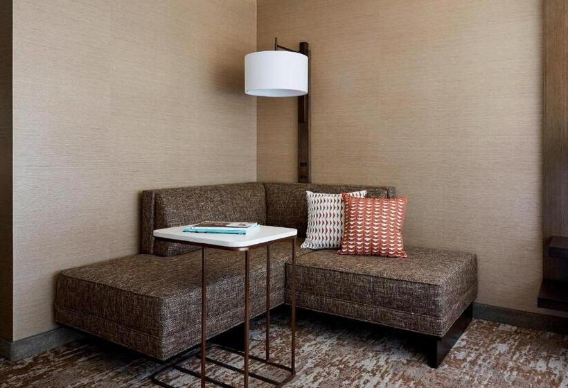 Superior Værelse King Size Seng, Chicago Marriott Southwest At Burr Ridge