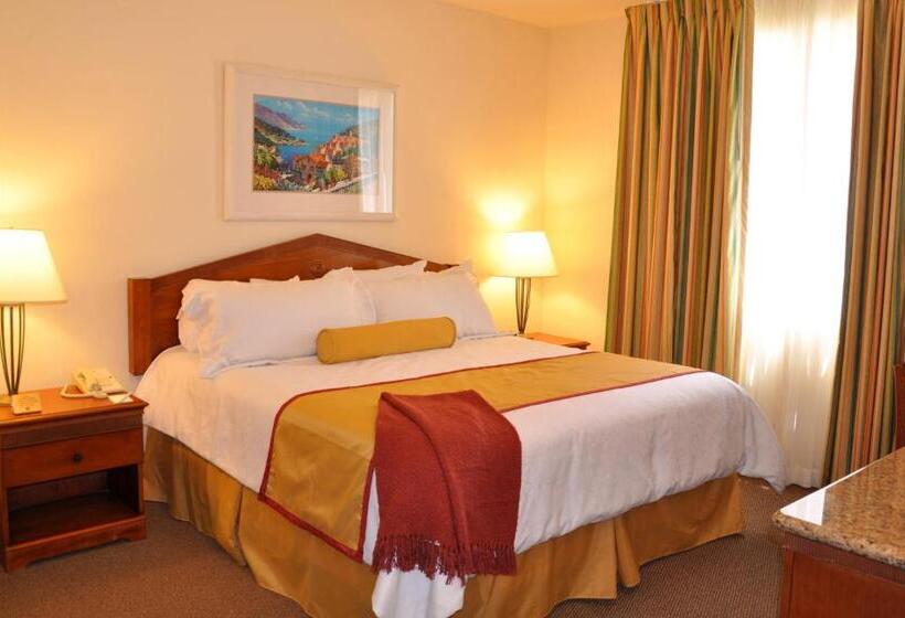 스탠다드 스튜디오, Club De Soleil Allsuite Resort