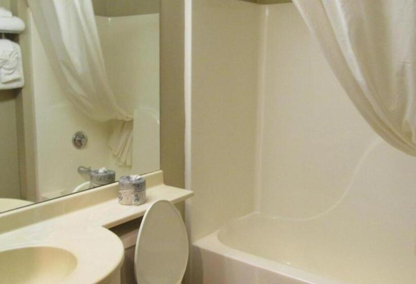 Номер Стандарт, Microtel Inn & Suites By Wyndham Rapid City