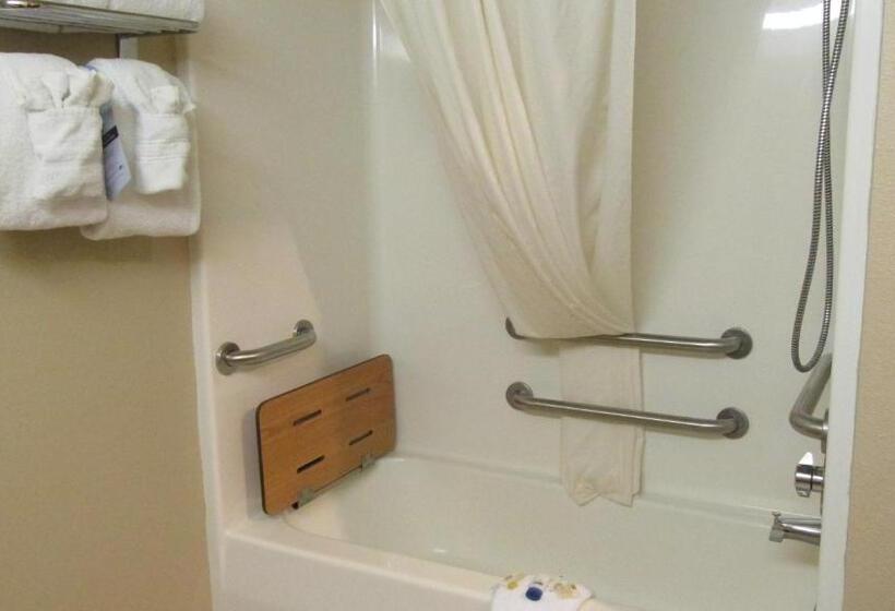Люкс Адаптированный для Инвалидов, Microtel Inn & Suites By Wyndham Rapid City