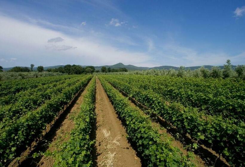 Номер Стандарт Кровать Кинг Адаптированный для Инвалидов, Agriturismo Eucaliptus