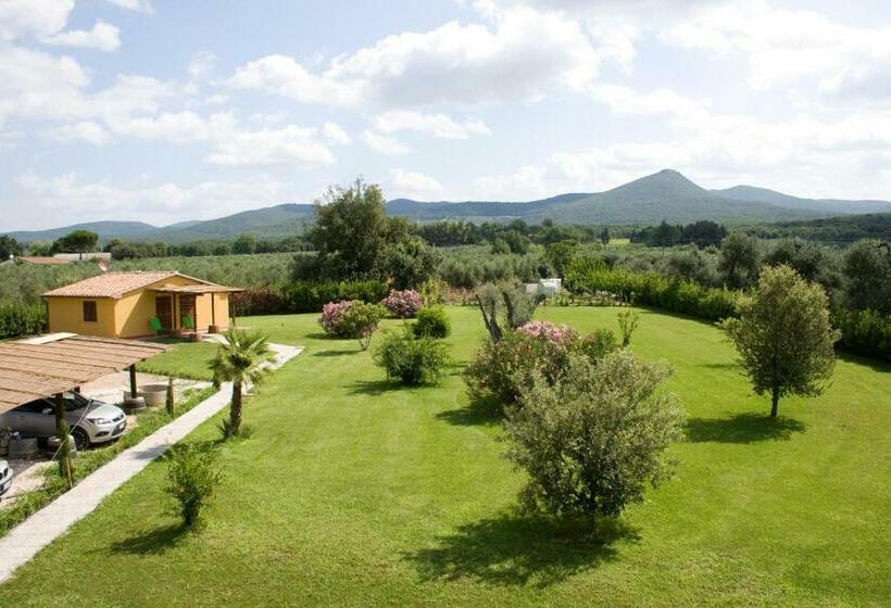 Номер Стандарт Кровать Кинг Адаптированный для Инвалидов, Agriturismo Eucaliptus