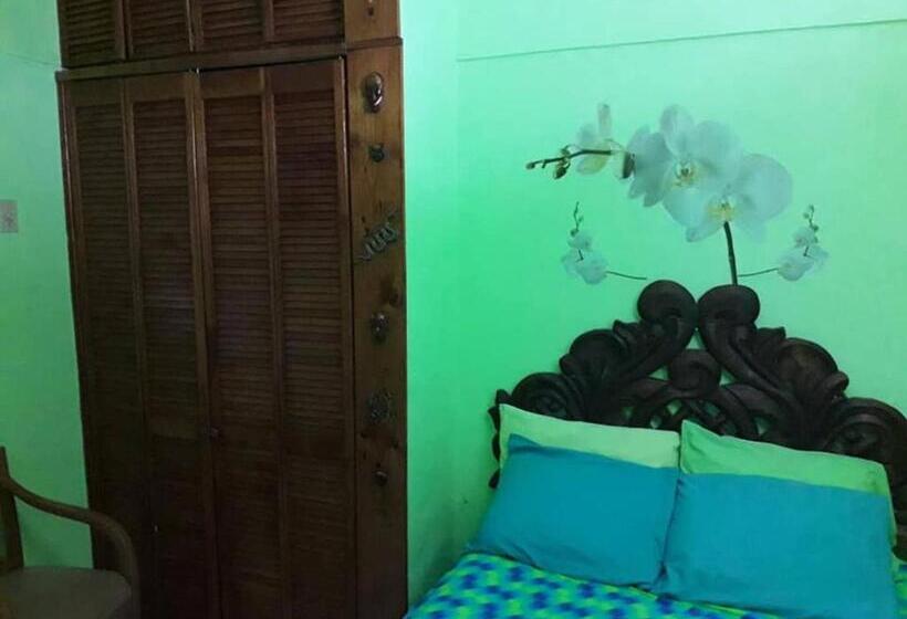 Standart Oda, Cancun Guest House 6
