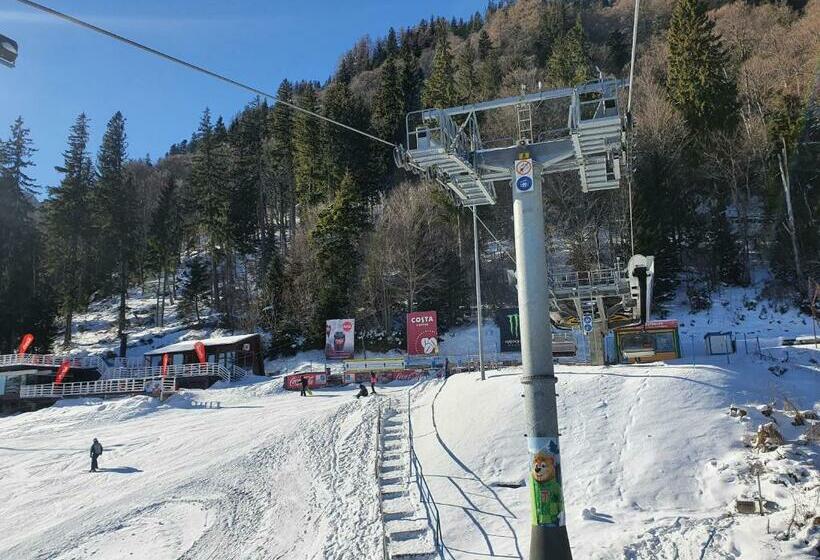 스탠다드 룸 킹사이즈 침대, Casa Bucegi Busteni