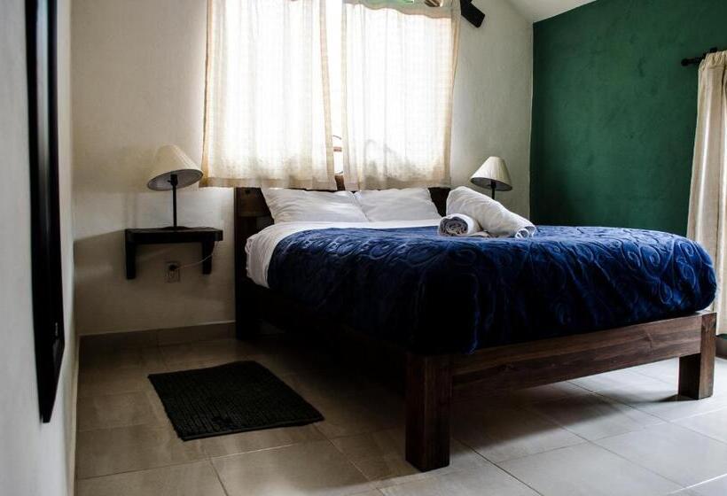 اتاق استاندارد, Casa Tequio