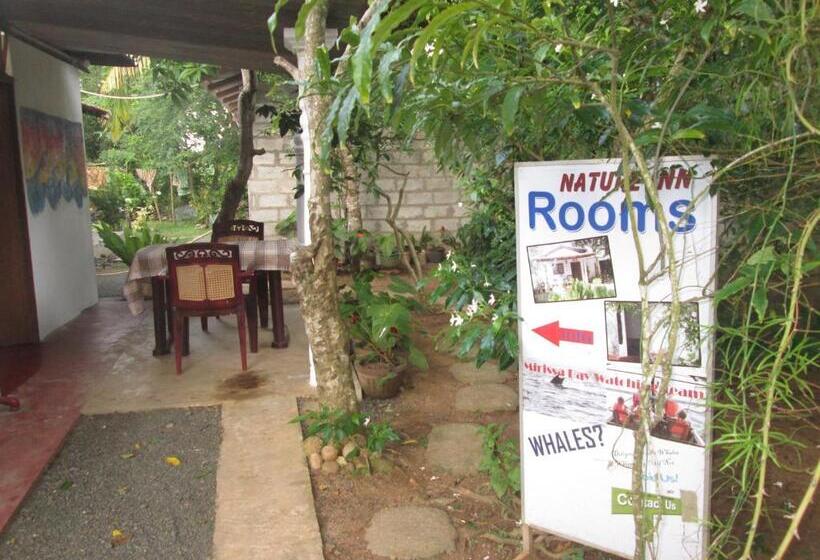 Номер Economy, Nature Inn