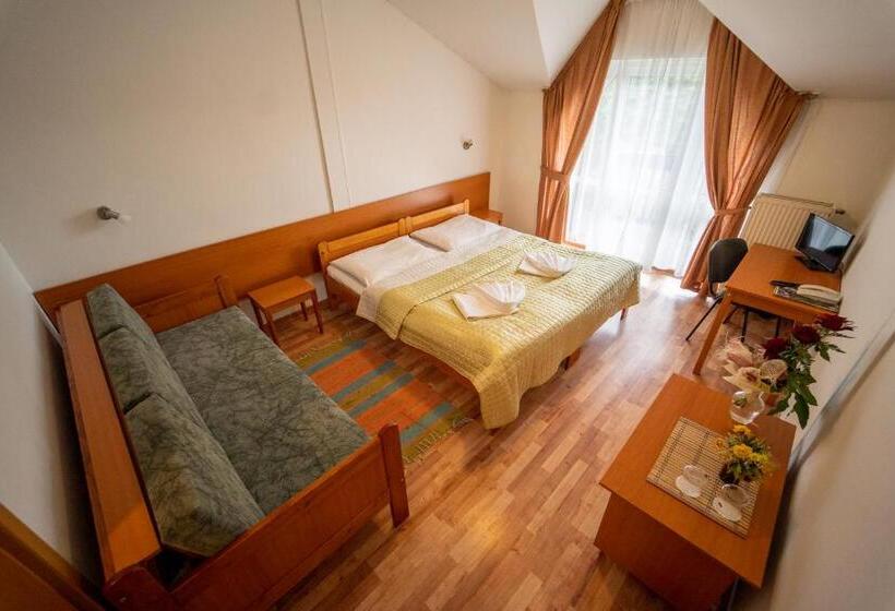 스탠다드 룸, Park Hotel Čingov