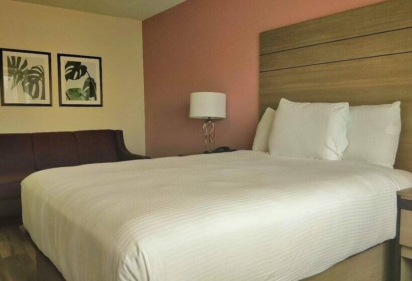 Люкс, Arya Inn & Suites